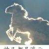 傲尊