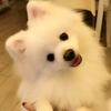 黙然い静逸