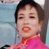 美丽的牡丹