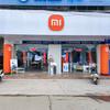 春湾小米
