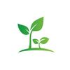 小树苗🌱