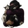 三条老猫