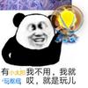 我的小马叫丁真