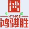 鸿骐胜  汽车查验