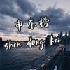 申东楷