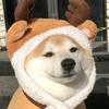 小伍