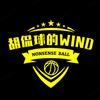 胡侃球的wind