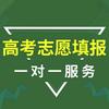 高考志愿填报