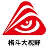 格斗大视野