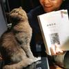 烟灰是只猫