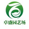沙西镇卓盛园艺场