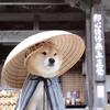 不才