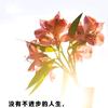 涛