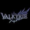瓦尔基里电脑硬件旗舰店
