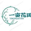 介休市一亩花田花卉
