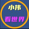 小伟看世界