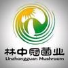 林中冠菌业-向阳