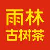 雨林古树茶