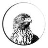 Falconry