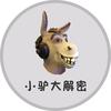小驴大解密