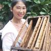 AA蜂飞花海
