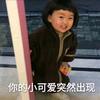 爱生活的小图腾
