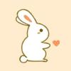 兔子小手工