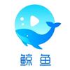 云天下
