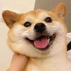 赵师傅