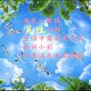 素材小彩