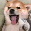 冷萌