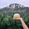 阳山农人