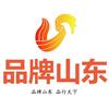 品牌山东