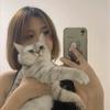 汤圆是只猫a