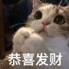霜雾