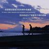 小张电影