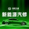 为盛新能源汽车管家（透明价修车）