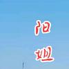 阳姐