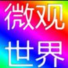 微观小世界
