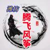 潍坊腾飞风筝厂