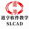道亨SLCAD软件教学