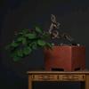 简植园艺