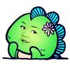 老茨菇