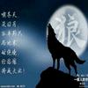 西域孤狼