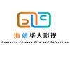 海外华人影视