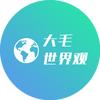大毛世界观