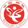 网信蚌埠