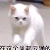 LBL工作室