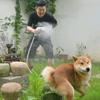 萌宠大视界