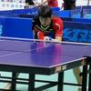 苏升乒乓